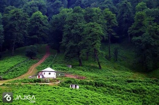 جامع‌ترین راهنمای سفر به شمال ایران