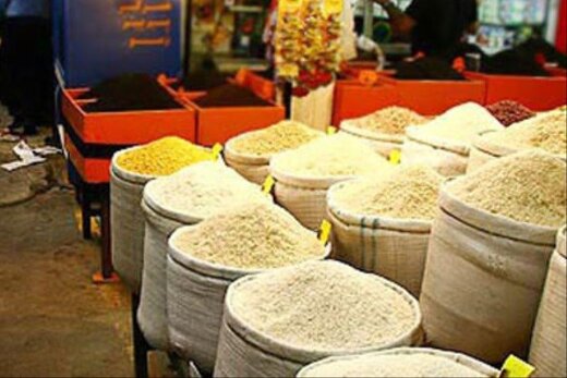 قفل انتظار یک ماهه بر بازار محصول جدید برنج مازندران/ هنوز کشاورزان منتظر کشف قیمت هستند
