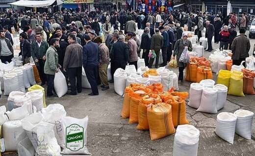 وزیر جهاد کشاورزی: قیمت برنج پائین تر خواهد آمد