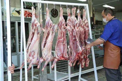 رییس مجمع ملی صادر کنندگان دام : قیمت ۲۵۰ هزار تومانی گوشت گرم گوسفندی منطقی است