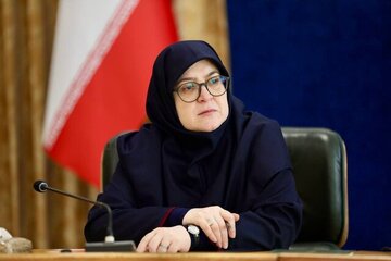 هشدار مهاجرانی درباره تبعات نپیوستن به FATF/ بانک ها زمین گیر شده اند، باید آنها را از تحریم خارج کنیم