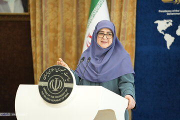 آخرین خبر از وضعیت تفویض اختیار به استانداران از زبان سخنگوی دولت/ سبحانی فر: استانداران در خط مقدم ارتباط با مردم هستند