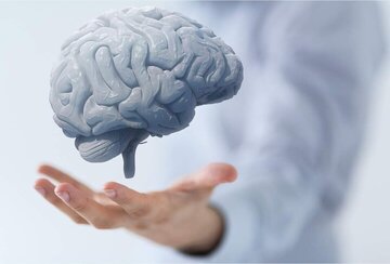 علائم هشداردهنده خونریزی مغزی را بشناسید علائم هشداردهنده خونریزی مغزی را بشناسید