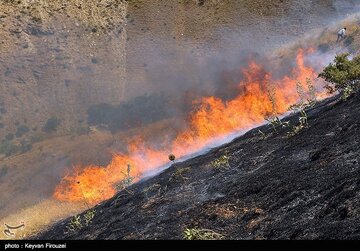 مرگ ۳ جوان در کوه آبیدر سنندج؛ پرونده قضایی تشکیل شد
